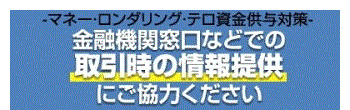 金融庁特設ホームページ